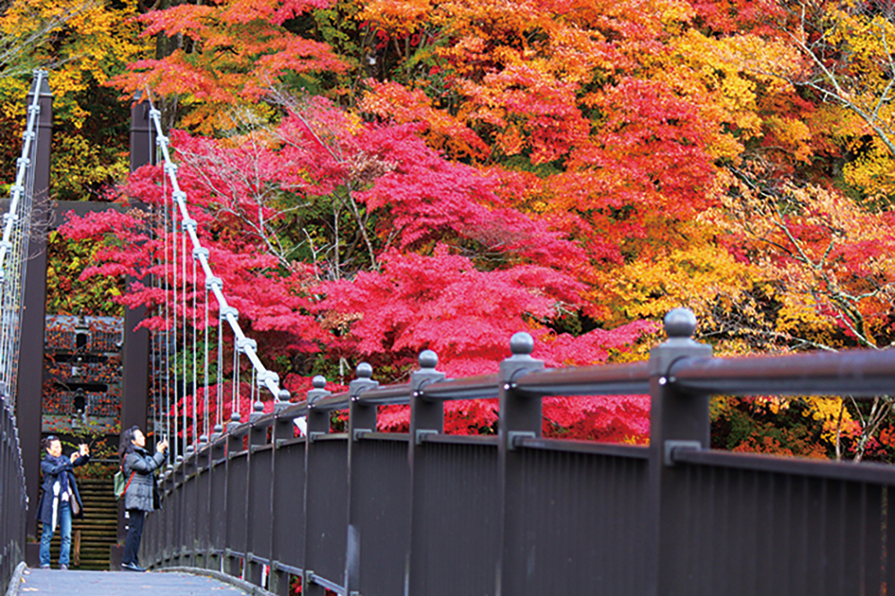 マイルcs 京都